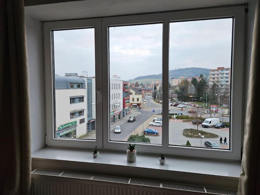 Prostorny Byt 3+1 Pro 4 Osob Moznost Pristylky+2Os Šumperk Dış mekan fotoğraf